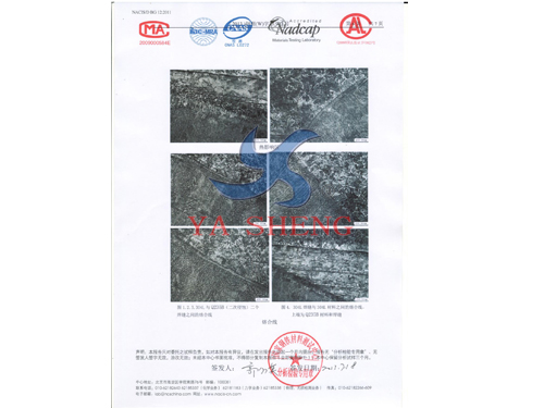 New Material Testing Report6